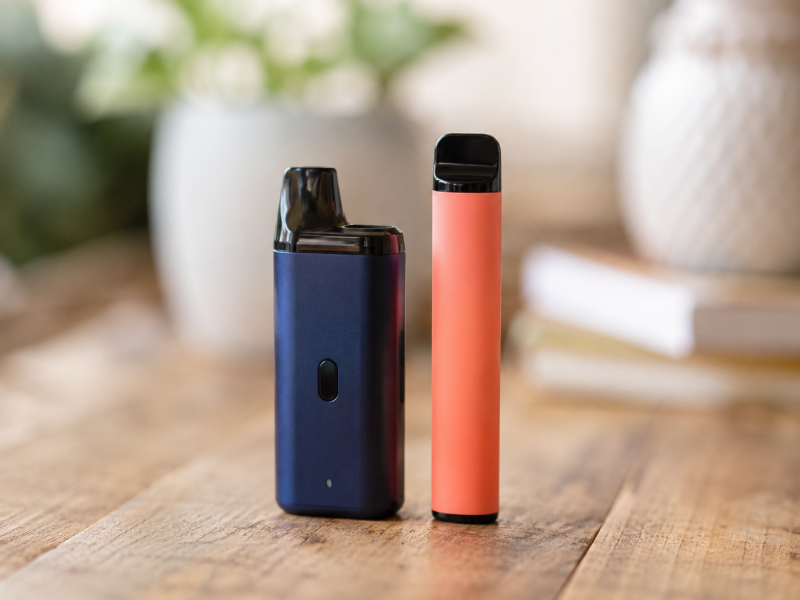 Rechargeable vs Single-Use Disposables: What to Buy for a Gift